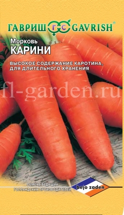 Сорт моркови Карини 