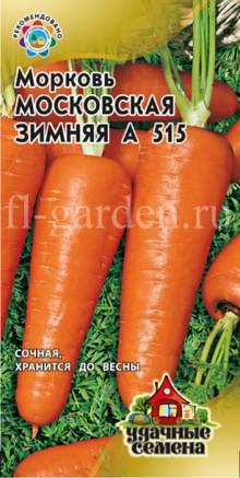 Сорт моркови Московская зимняя А 515
