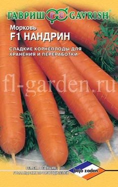 Сорт моркови Нандрин F1 
