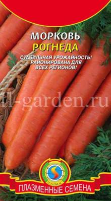 Морковь Рогнеда 