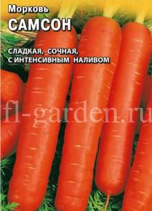 Сорт моркови Самсон 