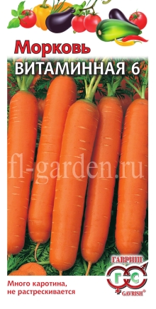 Сорт моркови Витаминная 6  