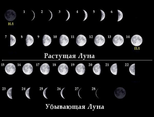 Схема фаз луны 