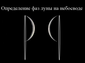 Самостоятельное определение фаз луны на небосводе 